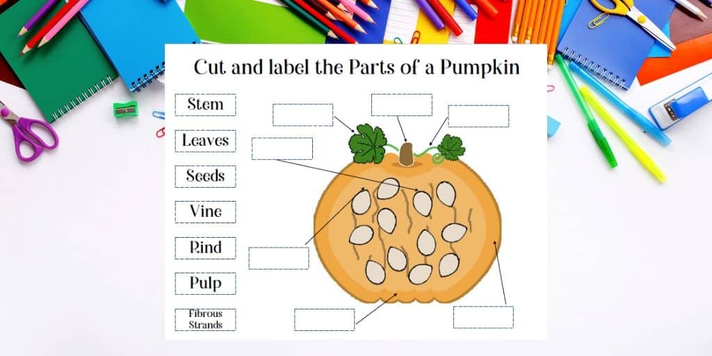 cut and label the parts of a pumpkin