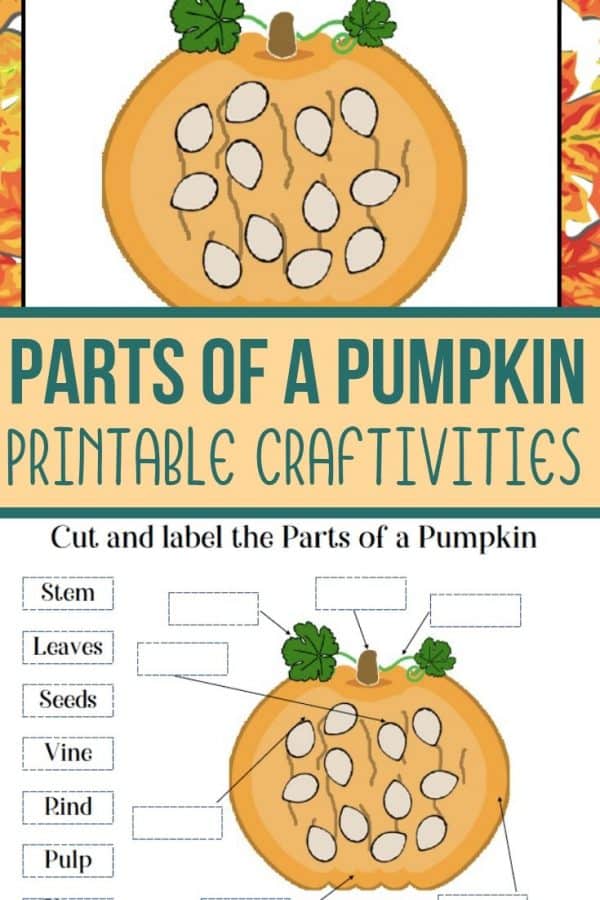 Parts of a Pumpkin Printable for Kids Views From a Step Stool