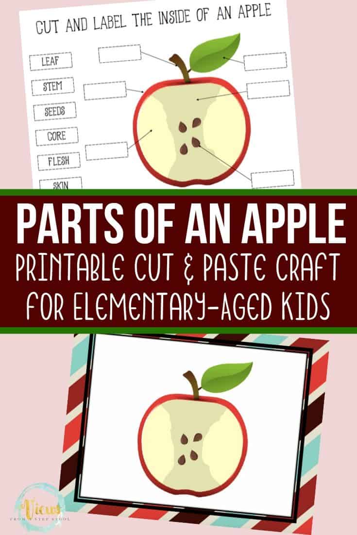 Parts of an Apple Printable Craft