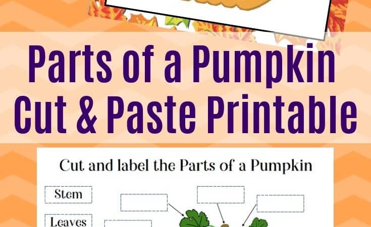 Parts of a Pumpkin Printable for Kids