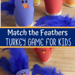Color Matching Turkey Feather Game