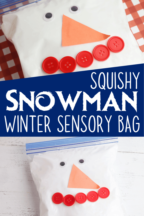 Frozen Ice and Snow Winter Sensory Bag - Views From a Step Stool