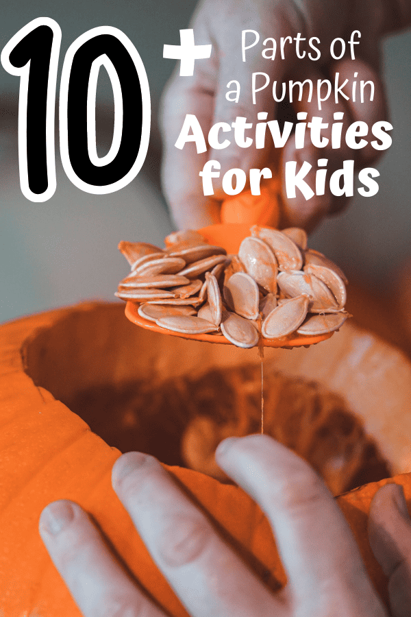 These parts of a pumpkin activities will help children learn about pumpkins through crafts, worksheets, printables and sensory play. 