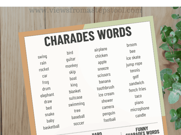 Charades Ideas for Families + Printable Word List