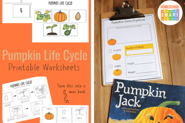 pumpkin worksheets