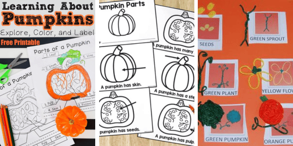 collage of pumpkin printables