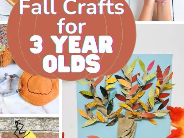 16 Fall Crafts for 3 Year Olds