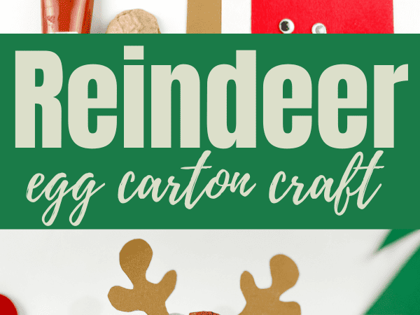 Reindeer Egg Carton Craft for Kids