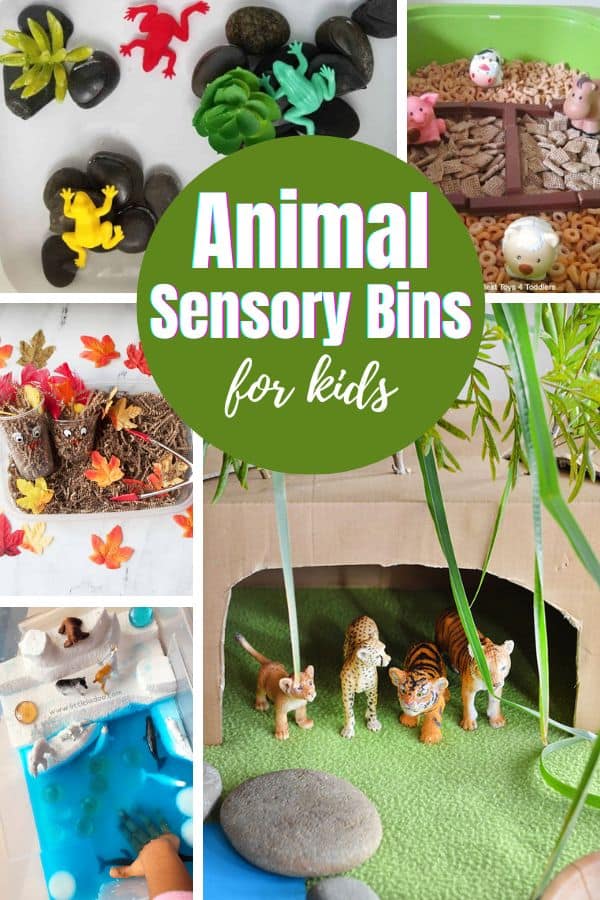 Here is a collection of animal sensory bin ideas for kids. Animals from the arctic, the forest, or your own backyard and more!
