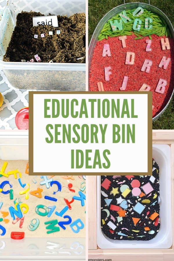 A variety of educational sensory bin ideas to learn about the alphabet, the human body, animals and so much more.