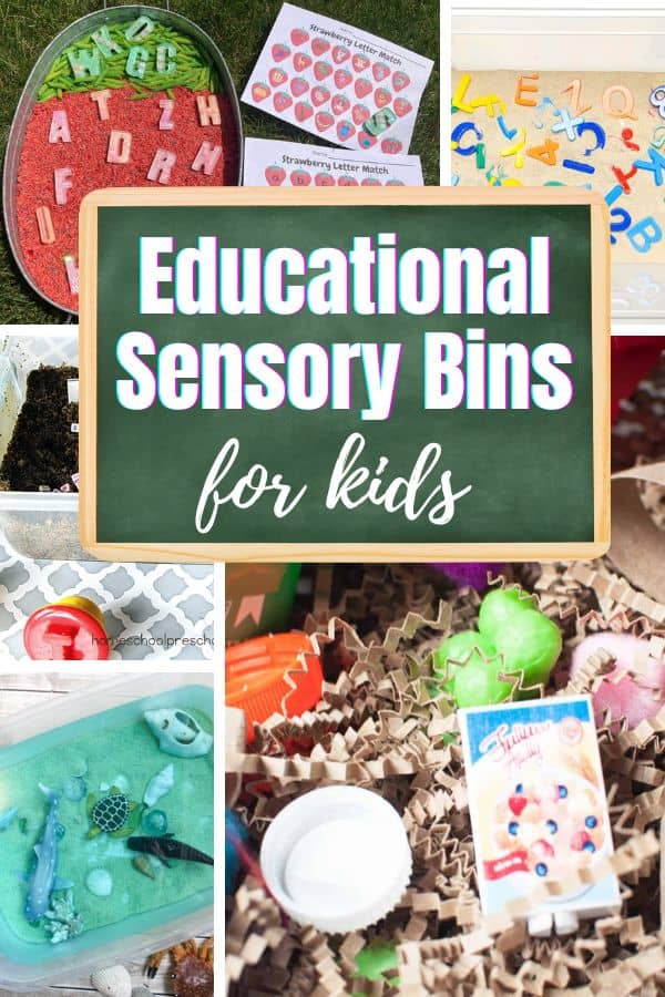 A variety of educational sensory bin ideas to learn about the alphabet, the human body, animals and so much more.